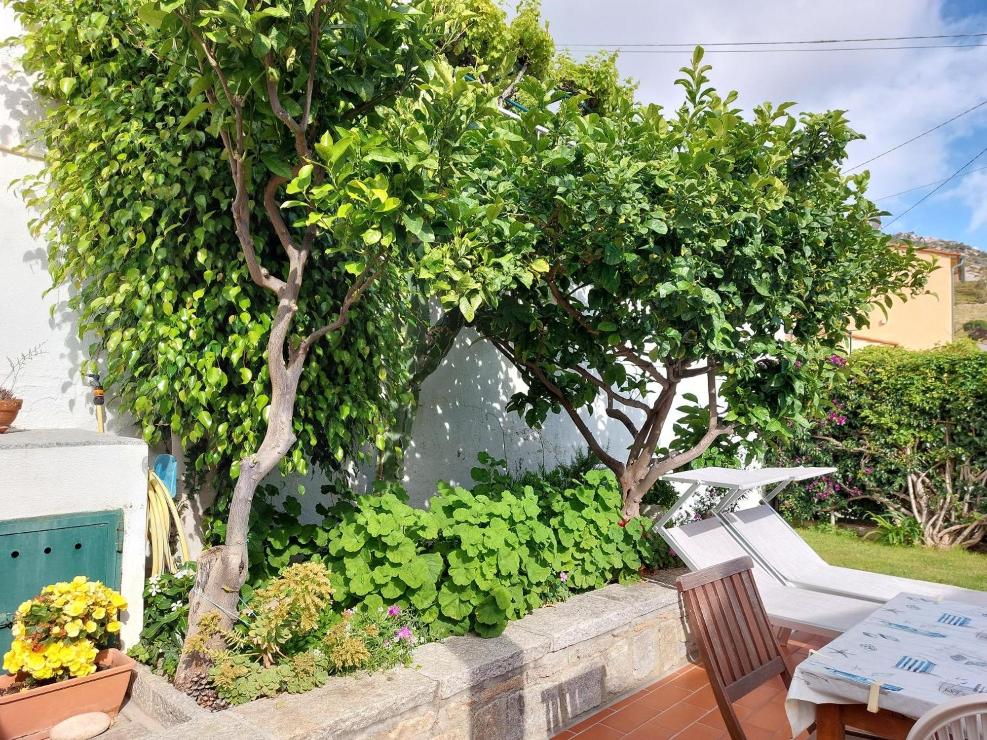 Villa Casa Guerrino Chiessi Exterior foto